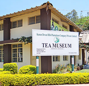 tea-musium